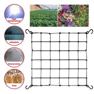 Redes de Soporte para Plantas, Red de Soporte para Ramas, <span class=keywords><strong>Malla</strong></span> Elástica de Látex para Jardín, Huerto, Cultivo de Vegetales, Invernadero - Product Image 3