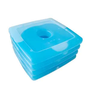 Wholesale Special Hot Selling Making Cool Cooler Ice Pack For Lunch Box