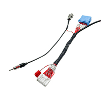 Adaptateur de câblage pour haut-parleur automobile, connecteur 20 voies, prise radio stéréo vers adaptateurs d'antenne, faisceau de câbles