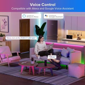 SHIZI SP530E <span class=keywords><strong>Controller</strong></span> <span class=keywords><strong>WiFi</strong></span> Alexa <span class=keywords><strong>4</strong></span> Zone 2.4GHz Kit Telecomando RF Dimmerabile per Striscia <span class=keywords><strong>LED</strong></span> COB SMD WS2811 IC DC5V/12V/24V 288W 1 Anno - Product Image 5