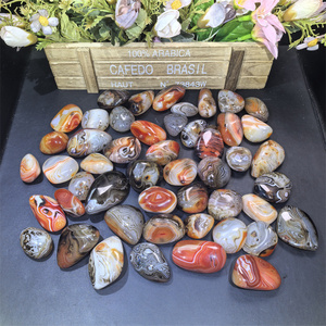 Pierre <span class=keywords><strong>de</strong></span> palmier en <span class=keywords><strong>cornaline</strong></span> naturelle <span class=keywords><strong>de</strong></span> haute qualité, sardonyx rouge <span class=keywords><strong>de</strong></span> <span class=keywords><strong>Madagascar</strong></span>, forme libre, pour la décoration et la lithothérapie, vente en gros - Product Image 2