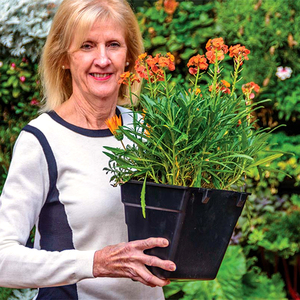 Factory Direct Square Black Long <strong>Trough</strong> Wall Hanging <strong>Planters</strong> <strong>Plastic</strong> Garden Flower Fence <strong>Planter</strong> for Sale - Product Image 5