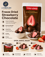 Gefreeze-droogde aardbeienchocolade snack premium fruit snoep 58g 40 zakjes 12 maanden houdbaarheid kant-en-klaar OEM/ODM Private Label