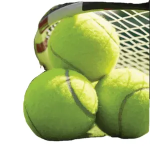 Pelota De Padel Hot Sales Standard Pressure45% Wool Material High Quality Padel Ball Padel Tennis Balls