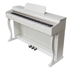 Bàn Phím Tốt Nhất Giá Rẻ Để Học Đàn Piano Phím Có Trọng Lượng Đàn Piano Kỹ Thuật Số Với Hiệu Ứng Âm Thanh Hợp Xướng Metronome (DP791) - Product Image 5