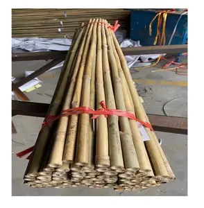 자연 친환경 식물 말뚝 기둥 등반 지원 대나무 정원 지팡이