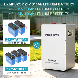 Paket Baterai Surya Rumah DATOUBOSS 8kWh LiFePO4 24V 25.6V 300Ah 314Ah Penyimpanan Energi Baterai Surya Lithium Kontrol Aplikasi Bluetooth - Product Image 6