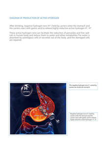 Pack d'eau hydrogénée pour renforcer l'immunité Yong Chi, solution d'hydratation antioxydante - Product Image 4