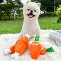 Dubbele Bot Kippenpoot Fruit Wortel Groente Hond Superzacht Pluche 11CM-30CM Geluidsgenererend Bijtbestendig Speelgoed Benodigdheden