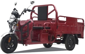 Tricycle électrique cargo ouvert, batterie, vitesse 30-50 km/h, pneus de 10 pouces, dimensions 2550*940*1300 mm, capacité de charge 200-300 kg, autonomie 50-70 km - Product Image 5