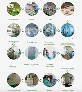 Thé Détox Marque Blanche pour Perte de Poids Rapide, Anti-Graisse Efficace en 7 Jours, Logo Personnalisé - Product Image 3