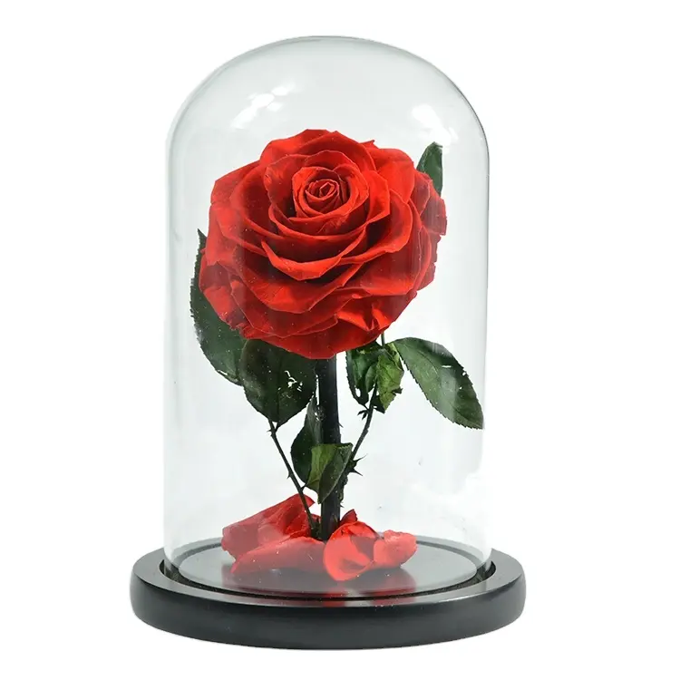 Factory Wholesales Eternal Real Preserved Rose Flower in Glass Dome Box for Christmas Valentin's day Gift