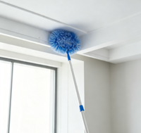 Brosse de nettoyage robuste pour toiles d'araignées au sol, avec manche extensible en PP, dépoussiéreur écologique pour coins et recoins