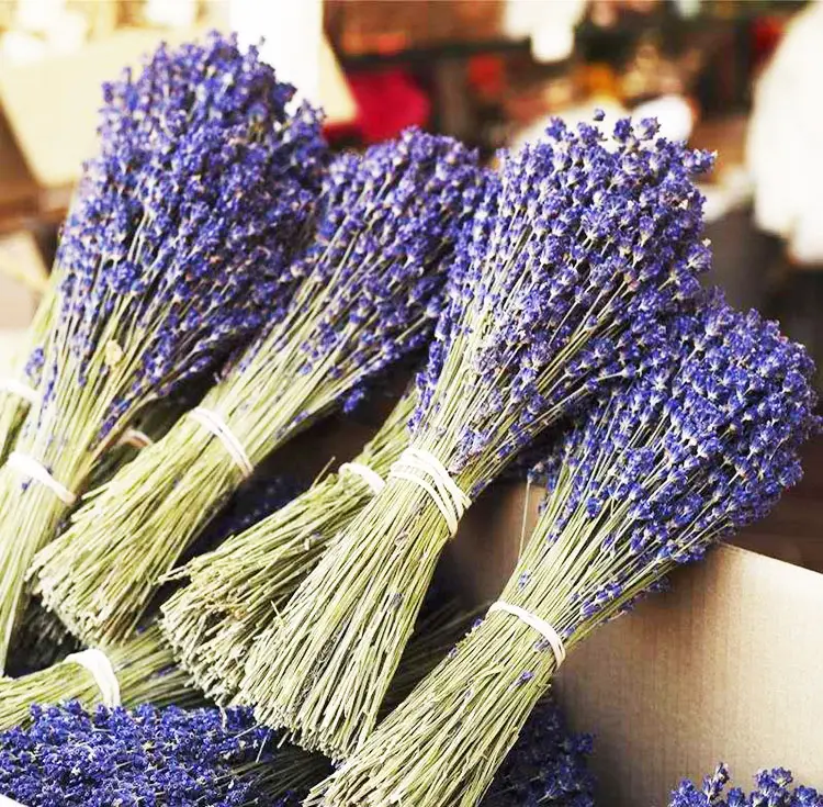 Flor seca sumerflora, flor seca natural de lavanda, buquê de lavanda seca francesa para decoração