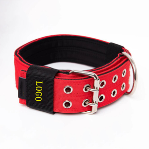 Tactical <strong>Collar</strong> Double Pin Durable 2 Inch Adjustable Dog <strong>Collar</strong> With Soft Neoprene Pad - Product Image 2