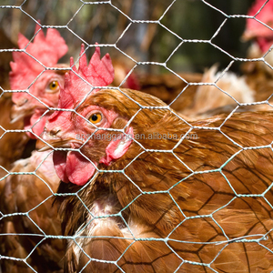 Rete Metallica Esagonale in Acciaio Zincato Rivestito in PVC, Recinzione per Fattoria, Gabbie per Polli, Gabbie per Pollame, Trappole per Pesci - Product Image 4