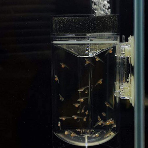 Incubateur <span class=keywords><strong>d</strong></span>'oeufs de <span class=keywords><strong>poisson</strong></span> et de crevettes Dia 60mm Aquarium Egg Tumbler - Product Image 2