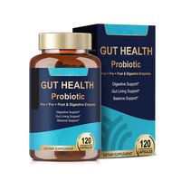 Complément Alimentaire Probiotique OEM ODM en Capsules de Zinc et Magnésium pour la Santé Intestinale et le Soutien des Enzymes Digestives, SANS GOMME