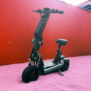 13inch Ecorider Adult Fast Foldable Off Road Dual Motor <strong>Electric</strong> <strong>Scooter</strong> - Product Image 6