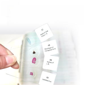 Recursos Didácticos de Biología, Histología y Patología: Portaobjetos de Microscopio con Secciones Longitudinales de Músculo de Gusano de Seda - Product Image 2