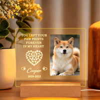 Lampe de nuit LED 3D commémorative pour animaux de compagnie, base en bois, abat-jour au design moderne, option DIY, alimentation USB, certifiée CE, cadeau de souvenir pour animal de compagnie