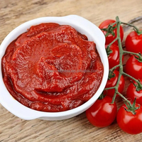 Ligne de production automatique de sauce tomate de 500 kg, petite machine de fabrication de pâte de tomate et de ketchup