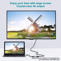 Câble adaptateur USB C de type C vers HDTV Premium 4K60Hz pour ordinateur portable MacBook Pro Air Dell XPS Surface iPad Pro etc.