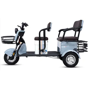 פייג 'הנמכר ביותר 60v אחרים ממונע תלת אופן עבור נכים אופנוע triciclo 600w 3 גלגל חשמלי תלת אופן אופניים אופניים