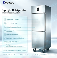 Lemari Pendingin/Kulkas Komersial 2 Pintu Kaca 3 Rak Defrost Otomatis Kontrol Digital Stainless Steel