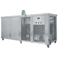 Máquina para Hacer Bloques de Hielo Industrial en Venta en Lusaka Zambia Ndola Libia Trípoli Comoras Cabo Verde Marruecos Angola