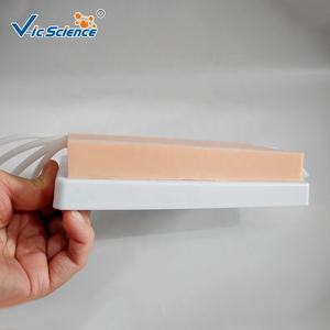 Maniquí de Ciencias Médicas, Almohadilla de Inyección, Modelo de Entrenamiento de Enfermería, Simulación de Inyección - Product Image 6