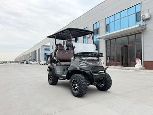 Voiturette de golf électrique 4 places à faible vitesse pour une conduite sécurisée et des excursions de loisirs - Product Image 2