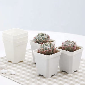 Grande jardinière carrée en plastique de style coréen épaissie pour succulentes cactus vieille souche affiche de fleurs plantes potagères utilisation plancher - Product Image 4