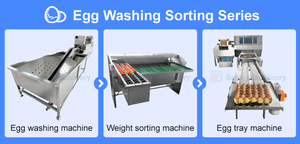 Tự động phân loại trứng phân loại và máy đóng gói để bán sử dụng trứng học sinh lớp SORTER máy phân loại công suất 6000 mỗi giờ - Product Image 4