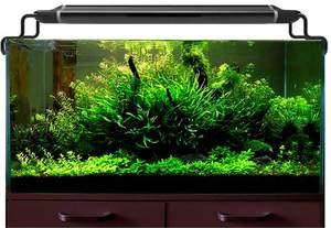 Luce per Acquario WRGB in Lega di Alluminio, Impermeabile IP68, 60W, Ecologica, con Simulazione Alba/Tramonto, Tre Modalità di Illuminazione - Product Image 5