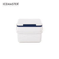 IceMaster 5L 미니 휴대용 시원한 온도 보냉 보온 소형 휴대용 플라스틱 비치 음료 쿨러