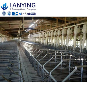 Kết cấu thép Sản xuất tại Trung Quốc được sử dụng trong chuồng gà, chuồng lợn và chuồng gia súc - Product Image 4