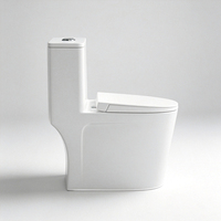 WC intégré moderne et minimaliste pour usage domestique, sanitaires de grand diamètre, toilettes en céramique anti-odeurs à siphon