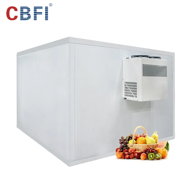 Cella frigorifera automatica di ammoniaca per cella frigorifera di pomodori vegetali, cella frigorifera per frutta, cella frigorifera vegetale