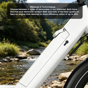 Vélo Électrique Urbain 26 Pouces à Cadre Basé, Moteur 250W, Batterie 504Wh, 7 Vitesses, avec Porte-Bagages - Meilleure Vente LW-EFK009 - Product Image 2