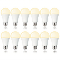Ampoule LED FLINT Chine E26 A19/A60 SMD 6W-16W 2700K 1500 Lumens CRI 80 AC 110-220V Certifiée RoHS/FCC/ETL pour usage domestique