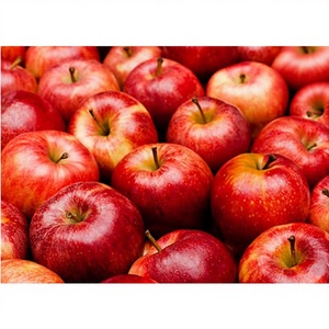 Extracto de Polvo de Manzana, Superalimento Natural de Frutas para Apoyo Antioxidante, Bienestar Inmunológico, Salud de la Piel y Nutrición Diaria - Product Image 1
