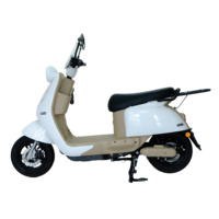 Scooter Eléctrico Inteligente de Dos Ruedas con Sensor Digital, de Aluminio, Resistente al Agua, de Largo Alcance, 1000W, para Adultos, Entrega en la Ciudad, CE Bulk