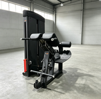 Chaise romaine haut de gamme en acier pour usage commercial, équipement de gym fonctionnel et sécurisé, réglable par pignon, pour étirement et extension du dos assis