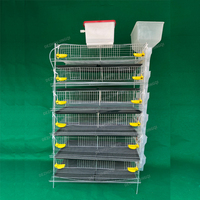 Cage à cailles de haute qualité de type H à alimentation automatique, cages à cailles pour la production d'œufs, cages à poules pondeuses