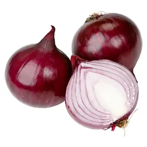 Fresh Onion Peeled Onion Premium Quality Onion Wholesale With Good Price From China