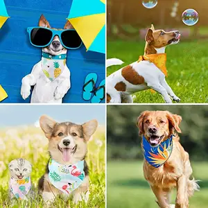 Großhandel Haustier Bandanas Hund Dreieck Sommer Schal Haustier Dreieck Lätzchen verstellbare Regenwald Frucht Bandana