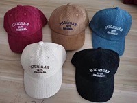 Sombreros de béisbol de pana bordados a la moda, gorra para hombres y mujeres, sombrero de camionero, sombreros de papá
