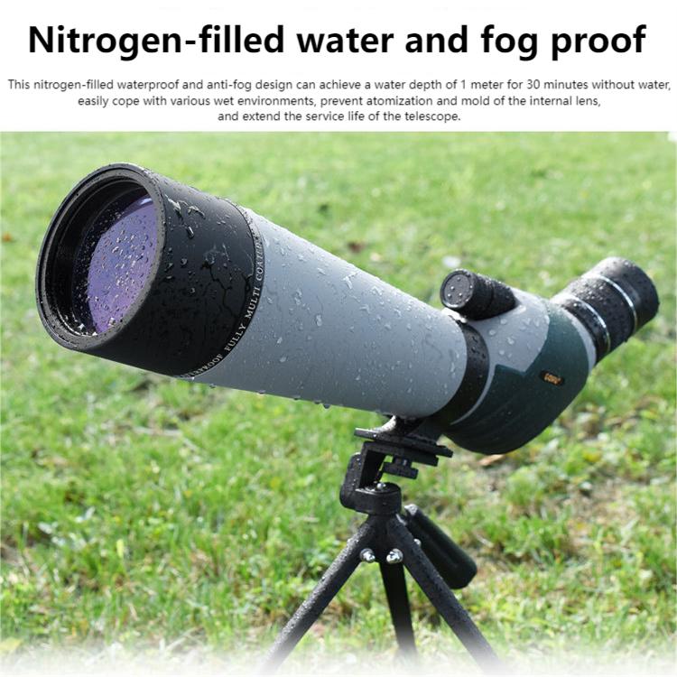 How to Use Monoculars in Different Birdwatching Environments: Expert Tips