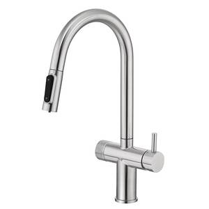 ก๊อกน้ำห้องครัวสแตนเลส 304 แบบดึงออกได้ สไตล์โมเดิร์นคลาสสิก สำหรับโรงแรม ขายตรงจากโรงงาน พร้อมฟังก์ชั่นกรองน้ำดื่ม - Product Image 1